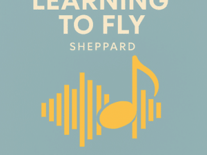 Learning to fly -Sheppard SSAB